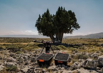 Jotun YeşilAdımlar 5. yılında ecoDrone’la tohum topu atışı yapıyor