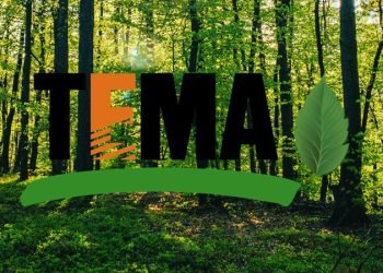 İddia: TEMA, Cengiz Holding’in fidan bağışını reddetti