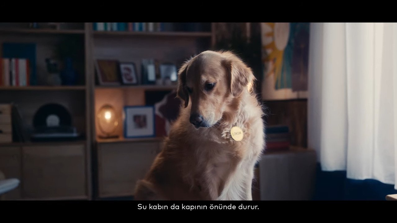 iyzico, Sevgiler Günü için yeni bir film yayınladı