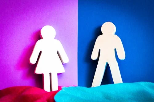 Toplumsal Cinsiyet Eşitliği Algı Araştırması yayınlandı