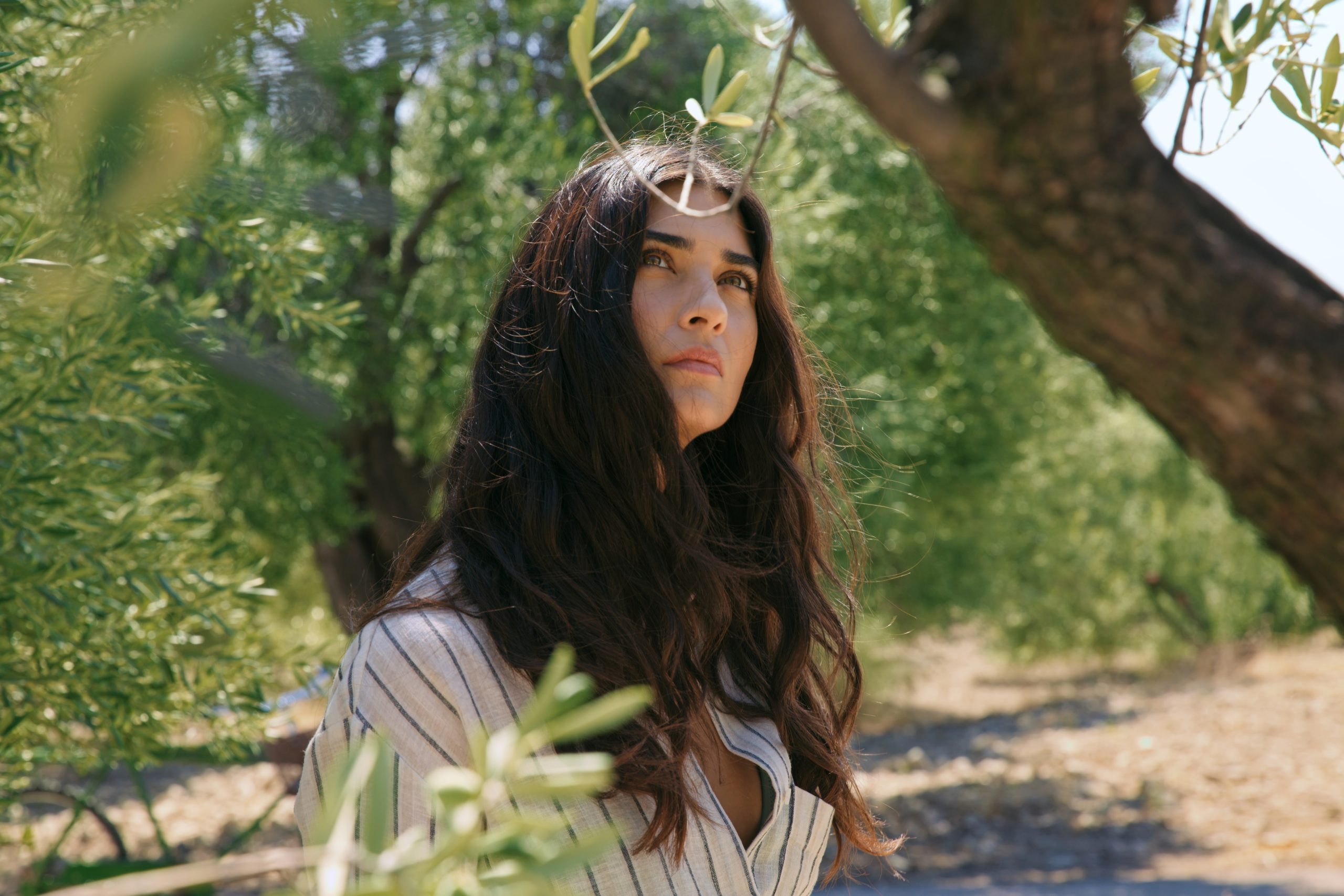 Netflix: Dünyanın Türkiye’ye ilgisi katlanarak artıyor