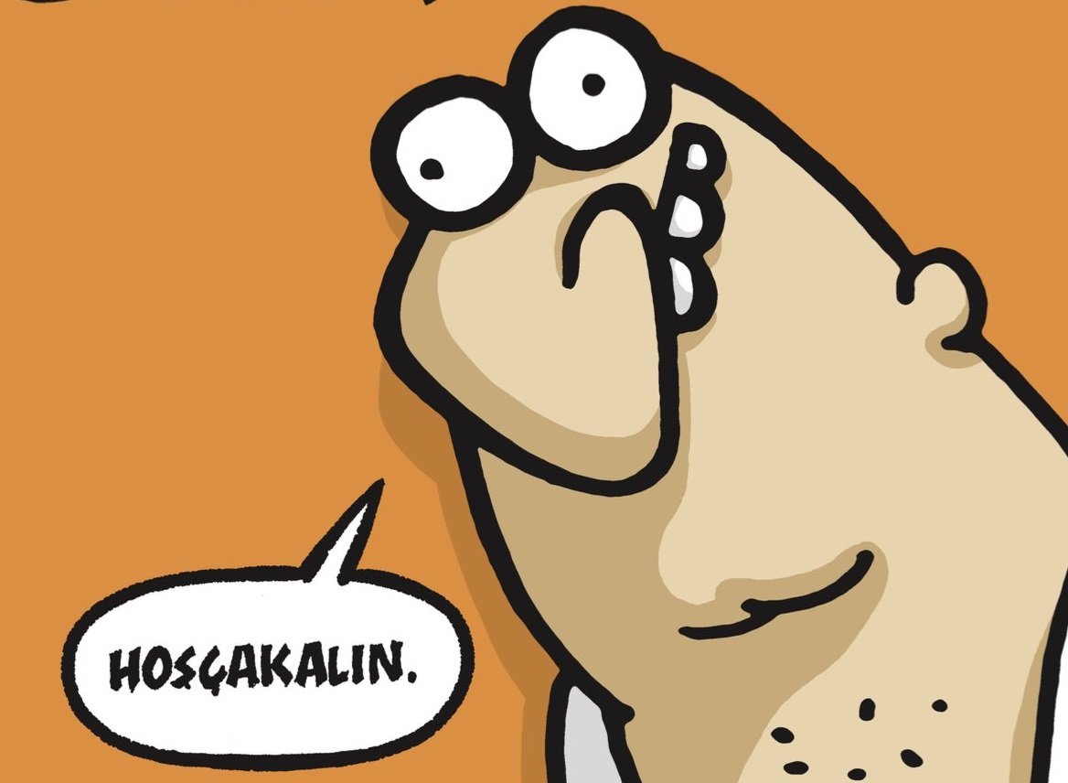 Mizah dergisi Uykusuz kapanıyor