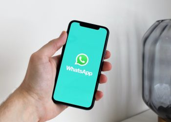 WhatsApp “haber bülteni” özelliği üzerinde çalışıyor
