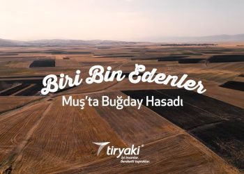 Tiryaki, çiftçilerin hasat heyecanına ortak oluyor