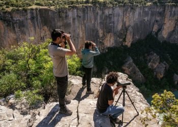 Türkiye’nin Önemli Doğa Alanları envanteri güncelleniyor