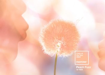 PANTONE, 2024 yılının rengini “Peach Fuzz” olarak seçti