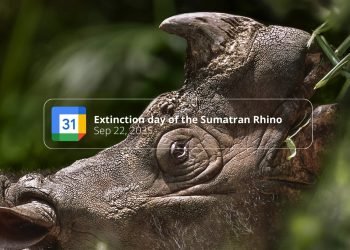 WWF türlerin yok olma tarihlerini hatırlatmak için Google Takvim’i hackledi