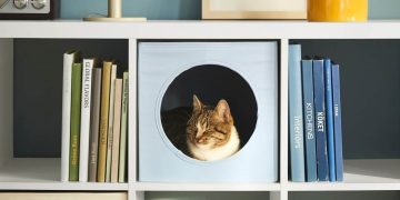 IKEA şık ve yeni bir evcil hayvan koleksiyonunu piyasaya sürdü: UTSÅDD