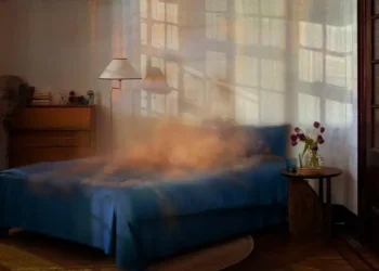 Çin’de Viagra, sansürün etrafından sanatla dolanıyor