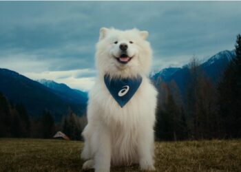 Asics’in yeni marka elçisiyle tanışın: Dogfluencer Félix!