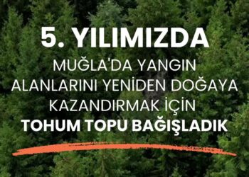 Orange Blue, 5. yılında geleceğe yeşil bir iz bırakıyor