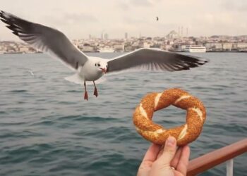 Kuş pisliği korkusuna nokta atışı çözüm: “Arabama Yapar mı?”