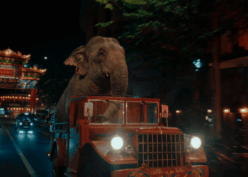 Virgin Media O2’dan dev bir hikaye