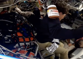 Sıfır gravity, sıfır senaryo: Nutella, Artemis II’nin en viral yolcusu oldu