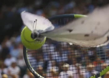 Wimbledon güzellik ile rekabet arasındaki gerilimi bir kelebeğin gözünden anlattı