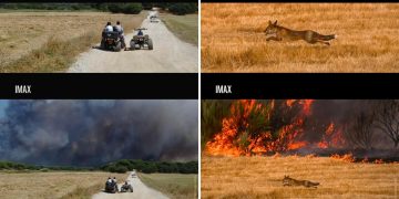 IMAX memi WWF’nin elinde iklim krizine dönüştü