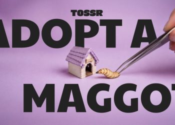 Çöp poşeti markası, evsiz kurtçuklar için sahiplendirme merkezi açtı